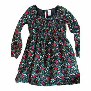 Hanna Andersson Multicolor Floral Kids Dress